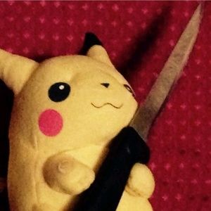 Meet your Posher, Tori